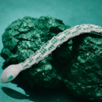 Silver Crystal Serpent Necklace  – 18K Gold Plated | Luxury Statement Elegance (Pre-Order) - Image 2